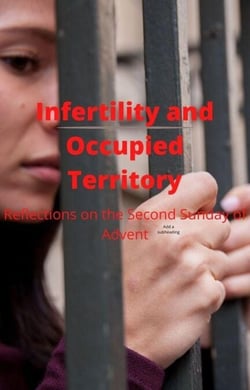 Infertility and Occupied Territory: Reflections on the Second Sunday of Advent - Four Sundays, #2