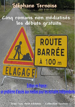 Cinq romans non médiatisés : les débuts gratuits - Edition en France : problème d'accès aux médias pour les écrivains indépendants