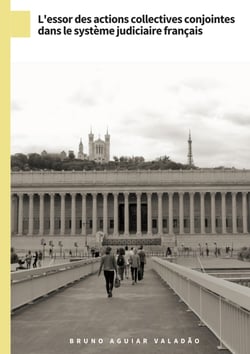 L'essor des actions collectives conjointes dans le système judiciaire français - L'action collective en pratique
