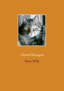 Kater Willy