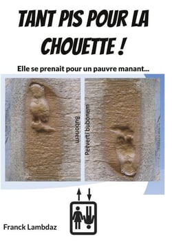 Tant pis pour la chouette ! - Elle se prenait pour un pauvre manant...
