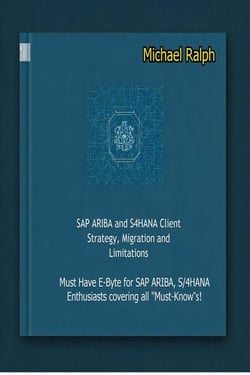 SAP ARIBA and S4HANA Client Strategy, Migration and Limitation