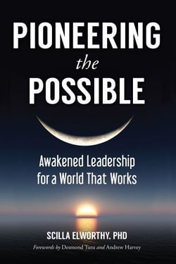 Pioneering the Possible - Awakened Leadership for a World That Works