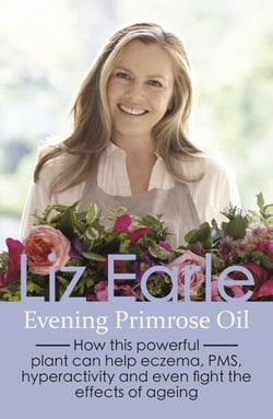Evening Primrose Oil - How this powerful plant can help eczema, PMS, hyperactivity and even fight the effects of ageing