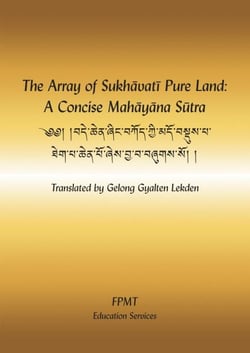 The Array of Sukhavati Pure Land: A Concise Mahayana Sutra eBook