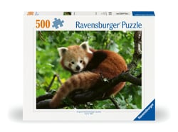 Puzzle 500 pièces - Adorable panda roux