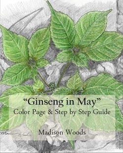 Ginseng in May: Color Page &amp; Step-by-Step Guide