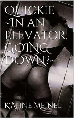 Quickie in an Elevator.  Going down?