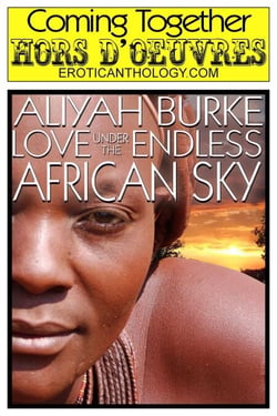 Love Under the Endless African Sky - Coming Together: Hors d'Oeuvres, #12
