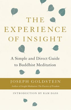 The Experience of Insight - A Simple and Direct Guide to Buddhist Meditation