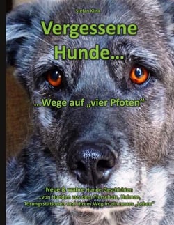 Vergessene Hunde - ...Wege auf "vier Pfoten"