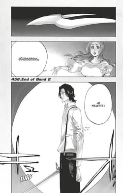 Bleach - T52 - Chapitre 456 - End of Bond 2