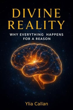 Divine Reality - Why Everything Happens for a Reason - The Infinity Chronicles, #3