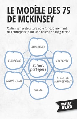 Le Modèle Des 7S De Mckinsey - Optimiser la structure et le fonctionnement de l'entreprise pour une réussite à long terme