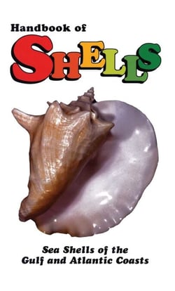 Handbook of Shells - Sea Shells of the Gulf and Atlantic Coasts