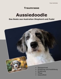 Traumrasse Aussiedoodle - Das Beste aus Australian Shepherd und Pudel