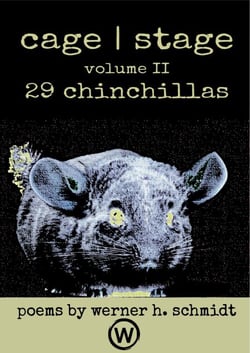 29 Chinchillas - cage | stage, #2