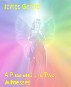 A Plea and the Two Witnesses