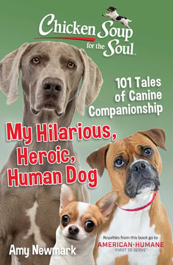 Chicken Soup for the Soul: My Hilarious, Heroic, Human Dog - 101 Tales of Canine Companionship