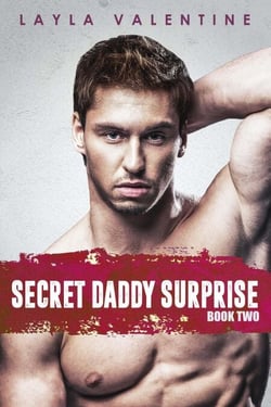 Secret Daddy Surprise (Book Two) - Secret Daddy Surprise, #2