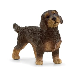Teckel à poil dur - Schleich