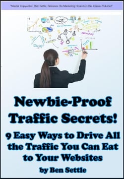 Newbie-Proof Traffic Secrets - 9 Easy Ways to Drive All the Traffic You Can Eat to Your Websites