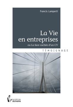 La Vie en entreprises - ou La face cachée d'un CV