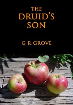 The Druid's Son - Druid's Son, #1