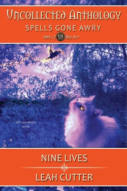 Nine Lives: Spells Gone Awry - Uncollected Anthology, #12