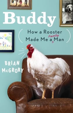 Buddy - How a Rooster Made Me a Family Man