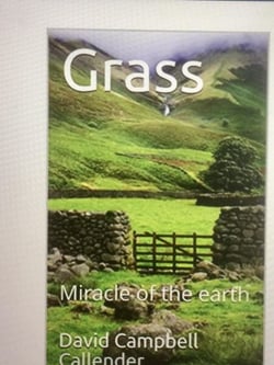 Grass. Miracle of the Earth - Callender Nature, #1
