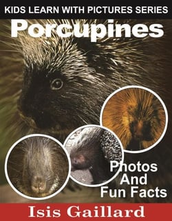 Porcupines Photos and Fun Facts for Kids - Kids Learn With Pictures, #68