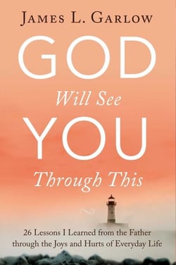 God Will See You Through This - 26 Lessons I Learned from the Father through the Joys and Hurts of Everyday Life