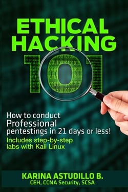 Ethical Hacking 101 - How to conduct professional pentestings in 21 days or less! - How to hack, #1