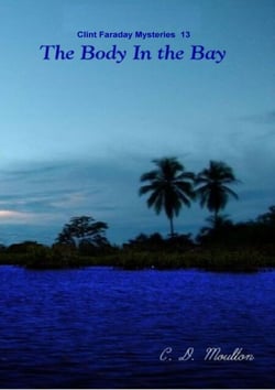 The Body in the Bay - Clint Faraday Mysteries, #13