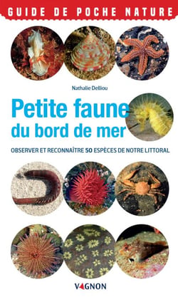 Petite faune du bord de mer - Observer et reconnaître 50 espèces de notre littoral