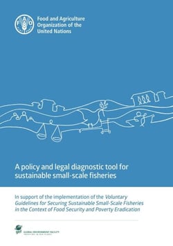 A Policy and Legal Diagnostic Tool for Sustainable Small-Scale Fisheries: In Support of the Implementation of the Voluntary Guidelines for Securing Sustainable Small-Scale Fisheries in the Context of