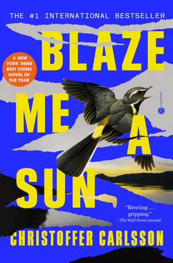 Blaze Me a Sun - A Novel About a Crime