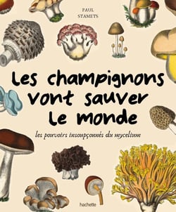 Les champignons vont sauver le monde - Les pouvoirs insoupçonnés du mycelium