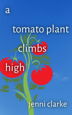 A Tomato Plant Climbs High