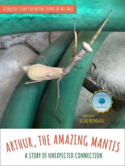 Arthur, The Amazing Mantis: A Story of Unexpected Connection - Stories From The Natural World, #1