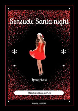 Sensuele Santa night - Steamy Santa Stories, #6