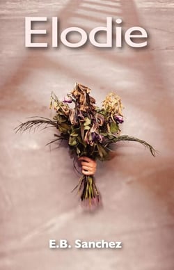 Elodie - A Tale of Passion, Dark Shadows and Vanishing Smiles