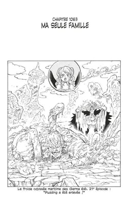 One Piece édition originale - Chapitre 1063 - Ma seule famille