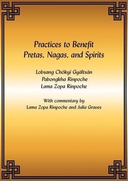 Practices to Benefit Pretas, Nagas and Spirits eBook