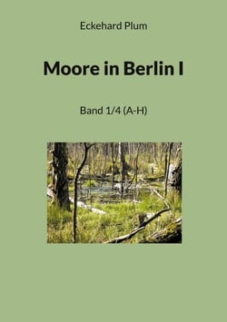 Moore in Berlin I - Band 1/4 (A-H)