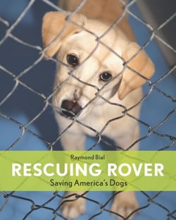 Rescuing Rover - Saving America's Dogs'