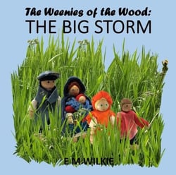 The Big Storm - The Weenies of the Wood Adventures