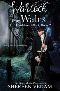 Warlock from Wales - The Cauldron Effect, #2