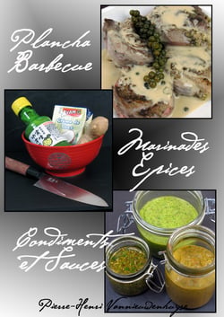 Plancha, Barbecue : Marinades, Epices, Condiments et Sauces - Vous allez adorer la plancha